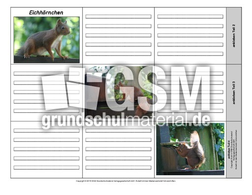 Leporello-Eichhörnchen-2-1-2.pdf